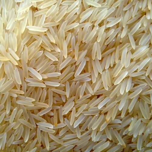 1401 Basmati Golden Sella Rice