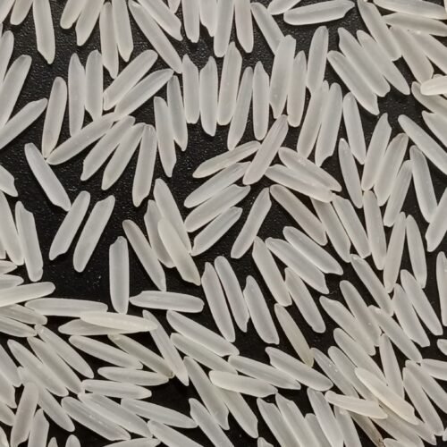 1121 Basmati Creamy Sella Rice
