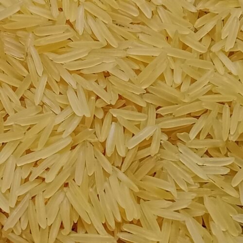 1121 Basmati Golden Sella Rice