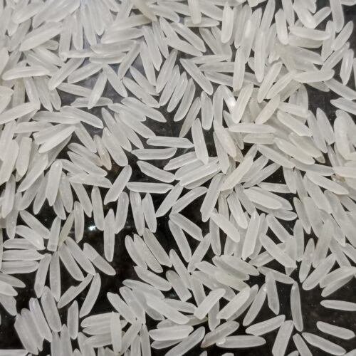 Sharbati Basmati Creamy Sella Rice