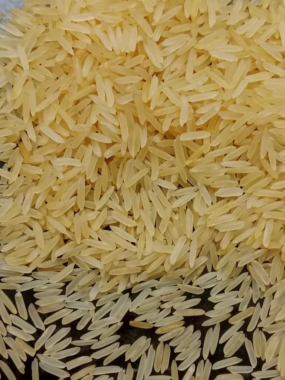 Sharbati Basmati Golden Sella Rice